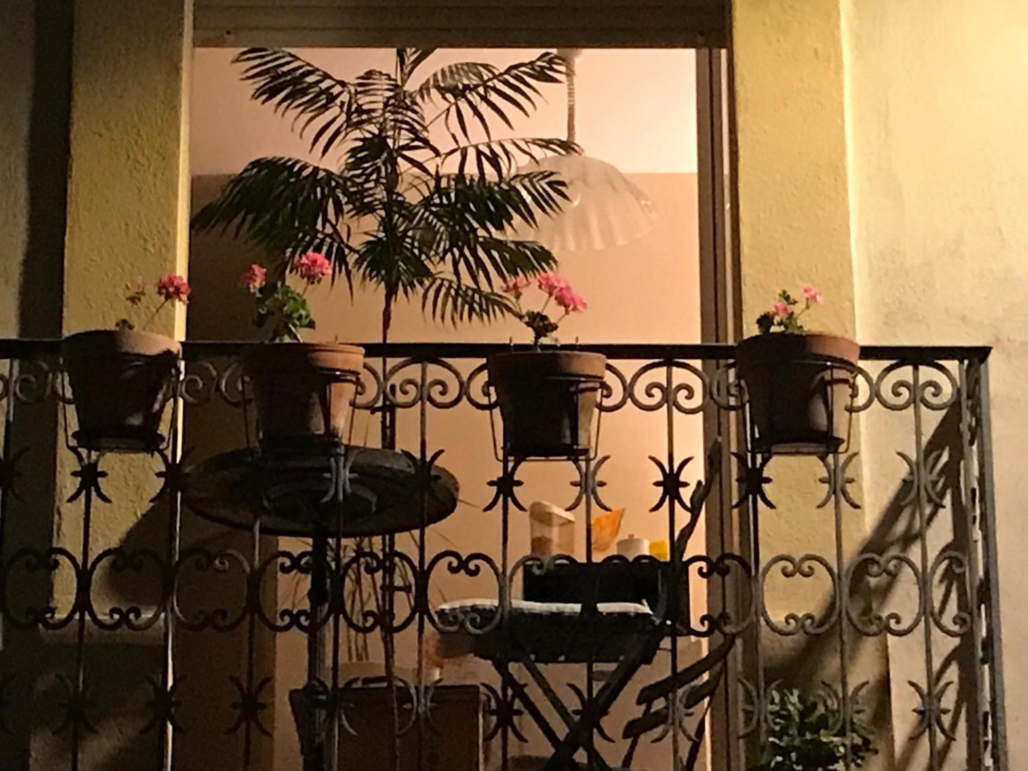 Chambre Japonaise Montpellier Zewnętrze zdjęcie